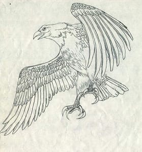 huihua2