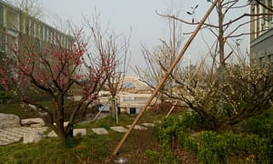 2015032102