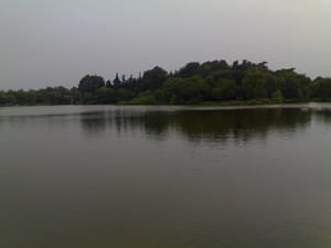74v0_20060726234