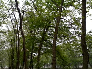 gd6j_20070405099
