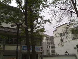 yvn2_20070405100